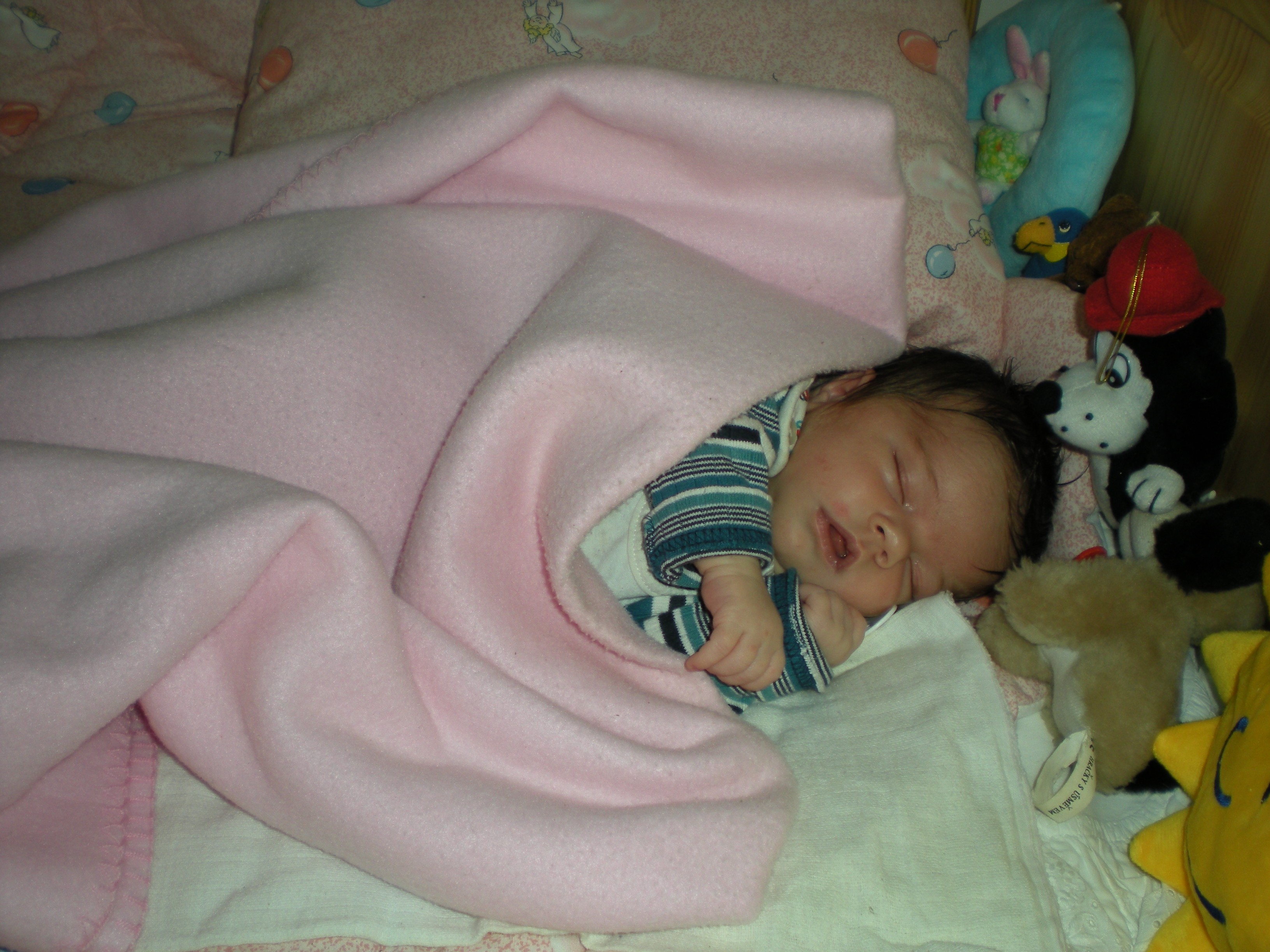 DSCN0120.JPG