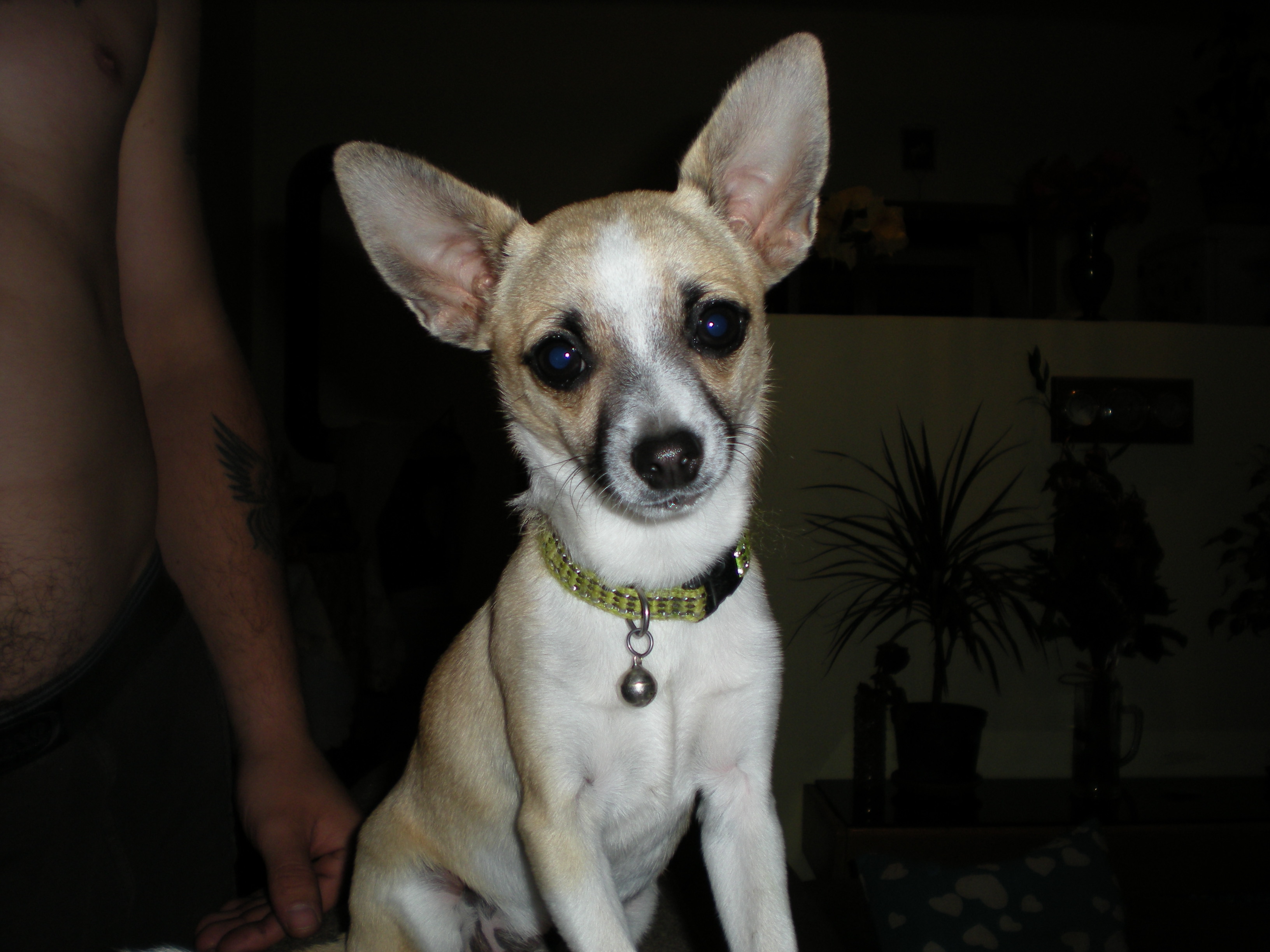 DSCN0124.JPG